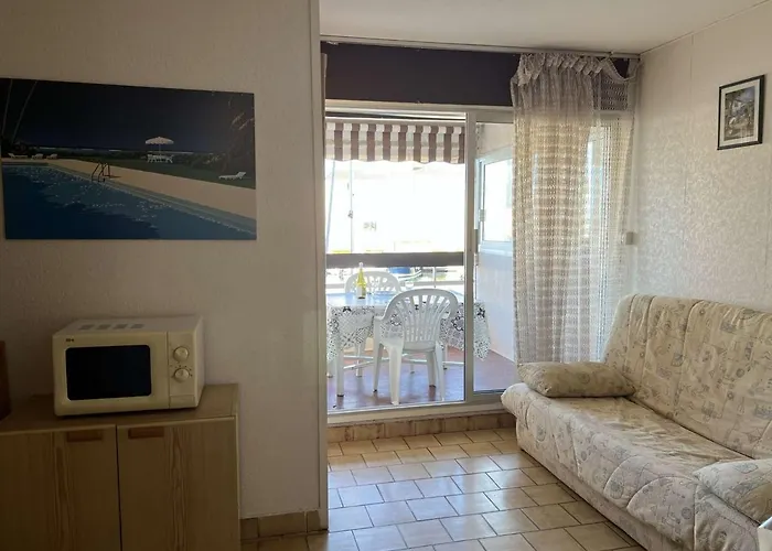Apartamento Calme Proche Et Commerces, Animaux Admis - Fr-1-702-44 Agde