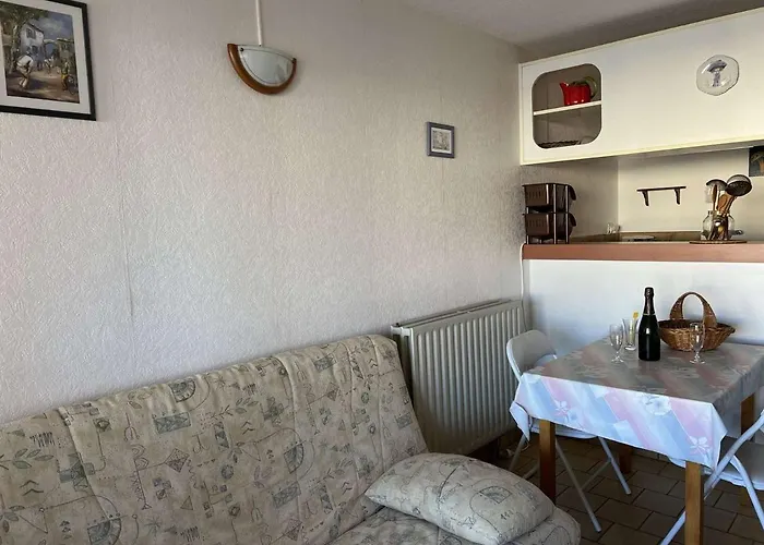 Calme Proche Et Commerces, Animaux Admis - Fr-1-702-44