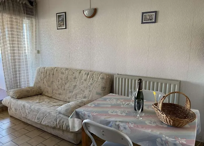 Calme Proche Et Commerces, Animaux Admis - Fr-1-702-44 *