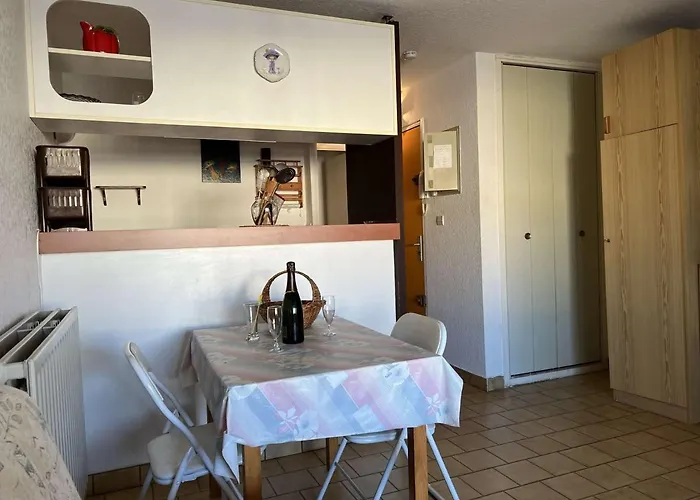 Calme Proche Et Commerces, Animaux Admis - Fr-1-702-44 * Agde